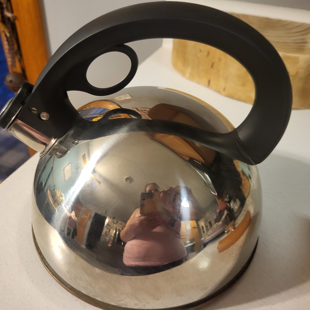 Stainless Steel Whistling Tea Kettle with Black Handle